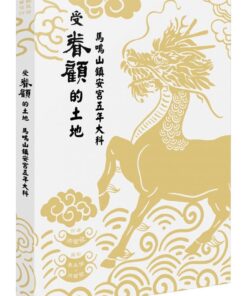 受眷顧的土地：馬鳴山鎮安宮五年大科