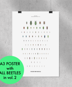 Alternative view of Jewel Beetles of Taiwan Vol.2(英文)｜限量贈送臺灣昆蟲小海報