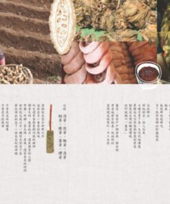 Alternative view of 台灣漬･24節氣的保存食［三版］