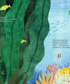 Alternative view of 樹上的魚《Lokot 鳥巢蕨》