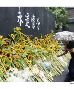 Alternative view of 反送中攝影集：我願榮光歸香港