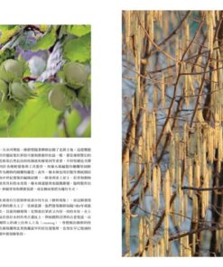 Alternative view of 世界之樹：孕育地球生命的樹木圖鑑