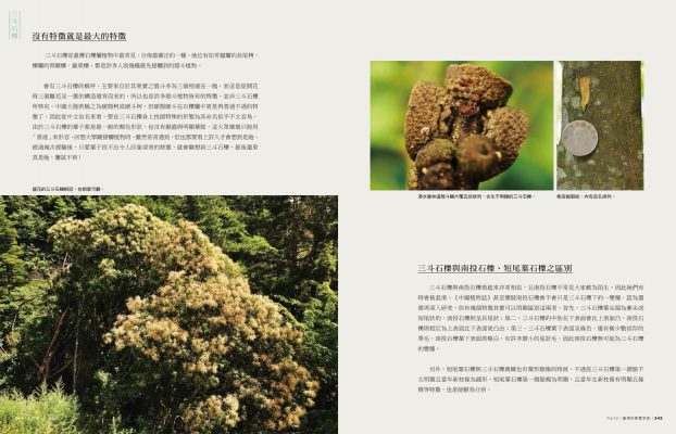 臺灣橡實家族圖鑑:45種殼斗科植物完整寫真 - 聚珍臺灣