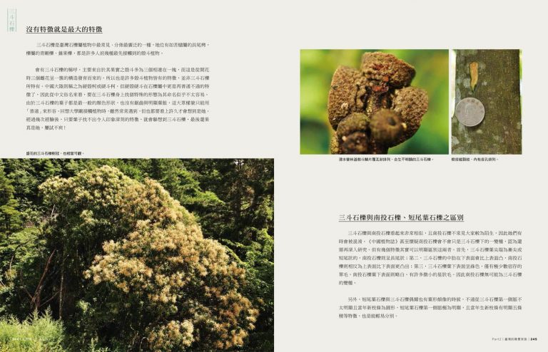 臺灣橡實家族圖鑑:45種殼斗科植物完整寫真 - 聚珍臺灣