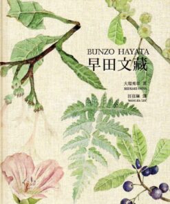 早田文藏BUNZO HAYATA(中文版/精裝)
