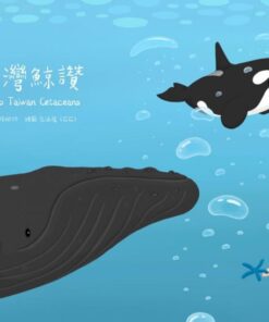 臺灣鯨讚