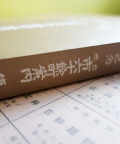 Alternative view of 御大典記念台北市六十餘町案內復刻