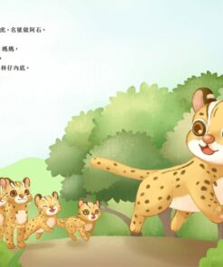 Alternative view of 石虎的厝（台語兒童公民繪本微動畫3）