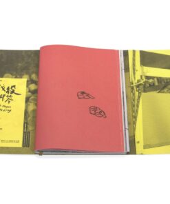 Alternative view of 竹篙山戰役與紅腳笭