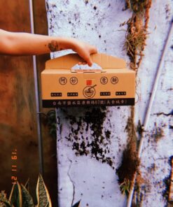 Alternative view of 鹽水阿妙意麵