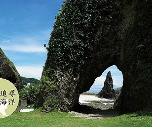 Alternative view of 走吧！綠島我來了！：流麻溝十五號記事