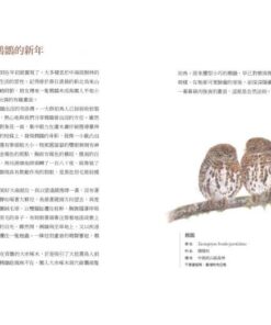 Alternative view of 野鳥散步