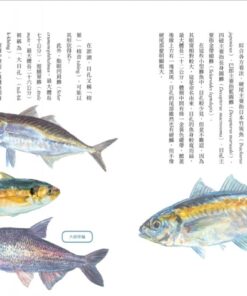 Alternative view of 一午二紅沙，三鯧四馬鮫：台灣海產的身世