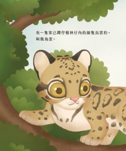 Alternative view of 最後的烏雲豹（台語兒童公民繪本微動畫5）