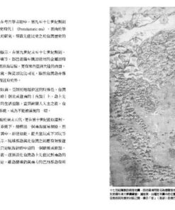 Alternative view of 世界的台灣史