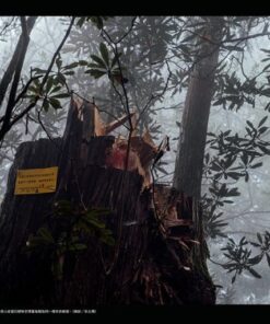 Alternative view of 報導者事件簿002：神木下的罪行