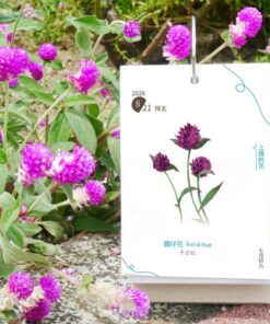 Alternative view of 2026 台文曆日 Tâi-bûn la̍h-ji̍t