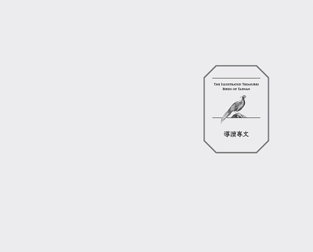 臺灣珍鳥重現:古爾德鳥類博物誌臺灣選集:圖片 3