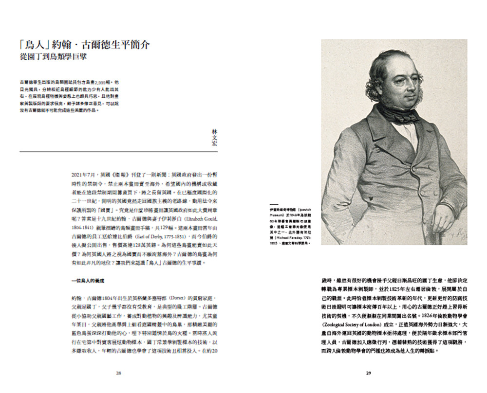臺灣珍鳥重現:古爾德鳥類博物誌臺灣選集:圖片 5