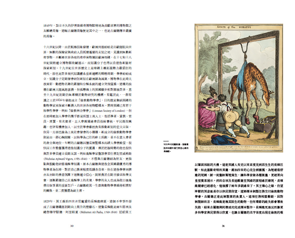 臺灣珍鳥重現:古爾德鳥類博物誌臺灣選集:圖片 6