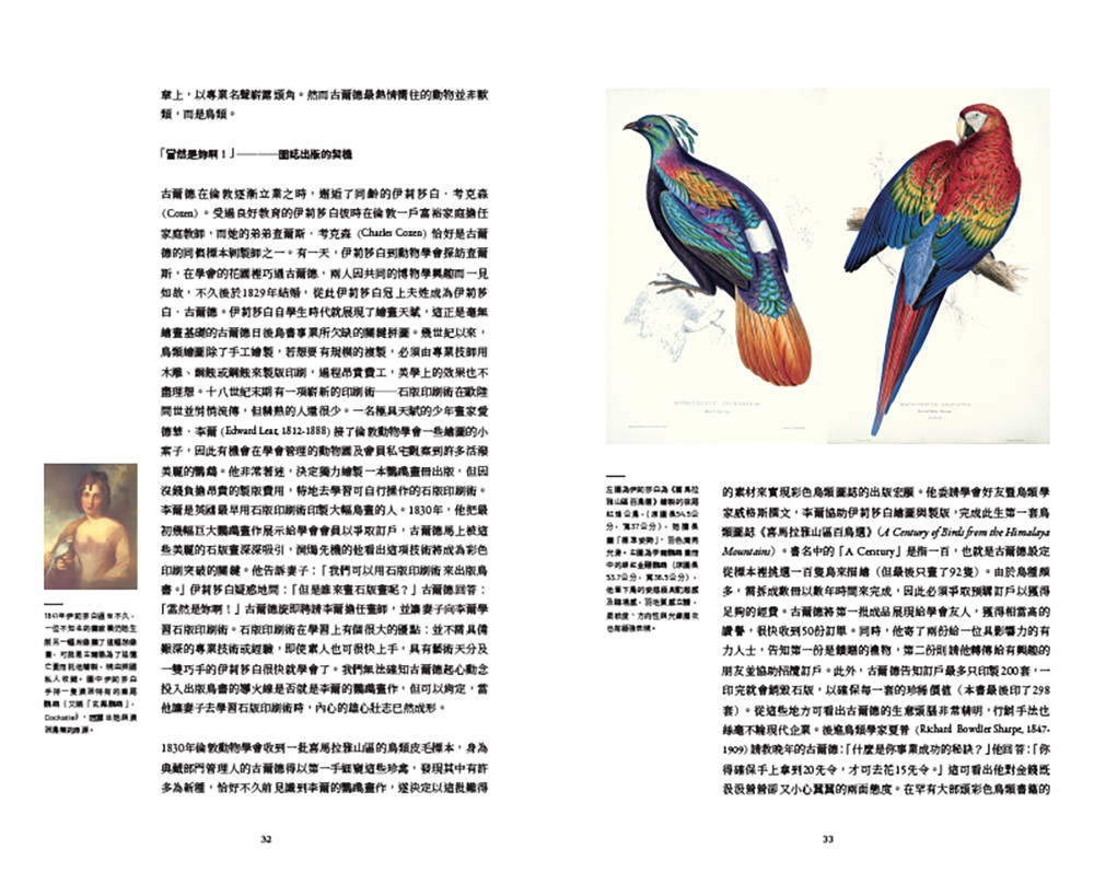 臺灣珍鳥重現:古爾德鳥類博物誌臺灣選集:圖片 7