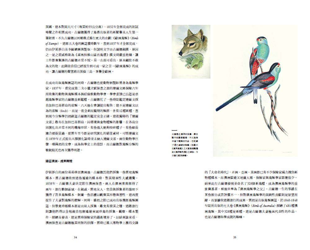 臺灣珍鳥重現:古爾德鳥類博物誌臺灣選集:圖片 8