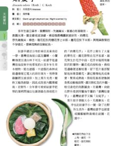 Alternative view of 臺灣民族植物圖鑑（增訂版）