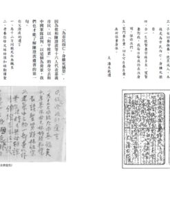 Alternative view of 國殤二二八：79周年特輯