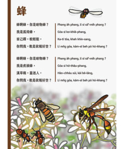 台灣動物來唱歌2:台語生態童謠影音繪本(7/21出版):圖片 5