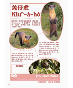 台灣動物來唱名:台語動物圖鑑(7/21出版):圖片 3