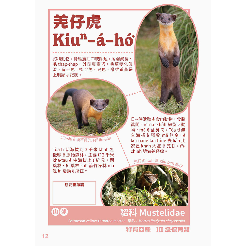 台灣動物來唱名:台語動物圖鑑(7/21出版):圖片 3