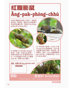 台灣動物來唱名:台語動物圖鑑(7/21出版):圖片 5