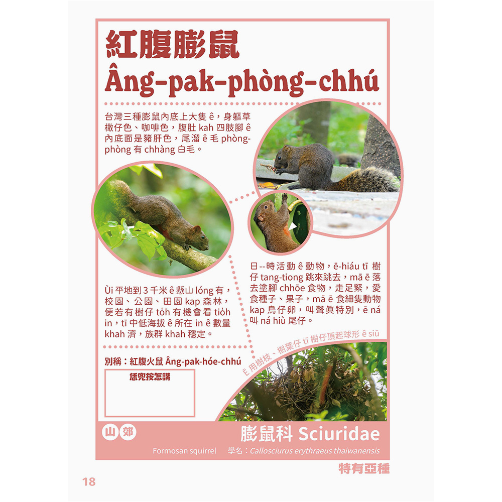 台灣動物來唱名:台語動物圖鑑(7/21出版):圖片 5
