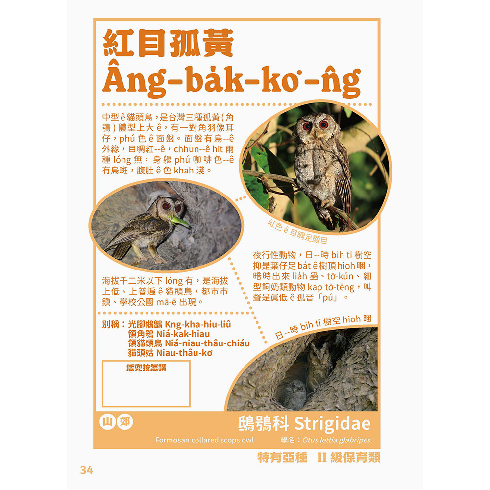 台灣動物來唱名:台語動物圖鑑(7/21出版):圖片 4