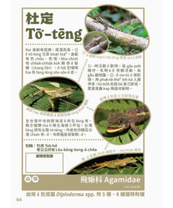 台灣動物來唱名:台語動物圖鑑(7/21出版):圖片 6