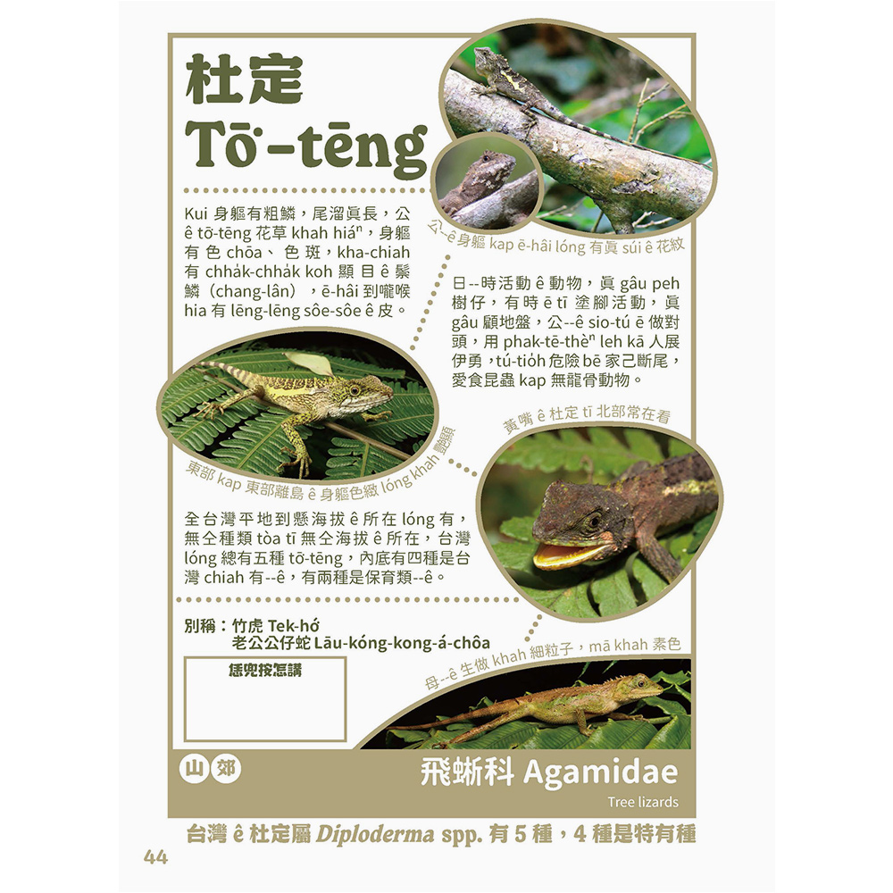 台灣動物來唱名:台語動物圖鑑(7/21出版):圖片 6