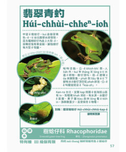 台灣動物來唱名:台語動物圖鑑(7/21出版):圖片 7