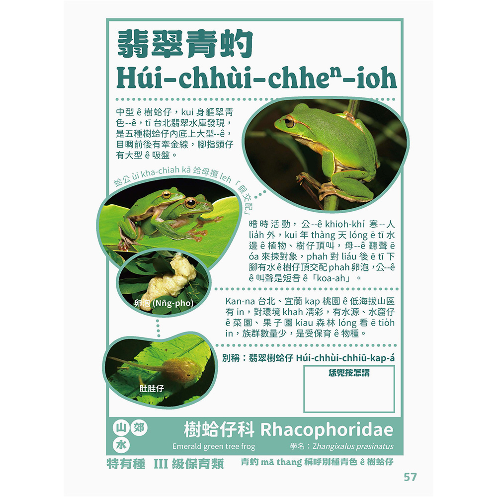台灣動物來唱名:台語動物圖鑑(7/21出版):圖片 7