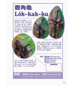 台灣動物來唱名:台語動物圖鑑(7/21出版):圖片 8