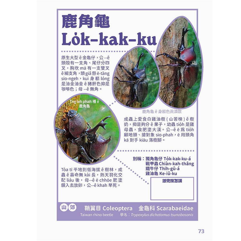 台灣動物來唱名:台語動物圖鑑(7/21出版):圖片 8