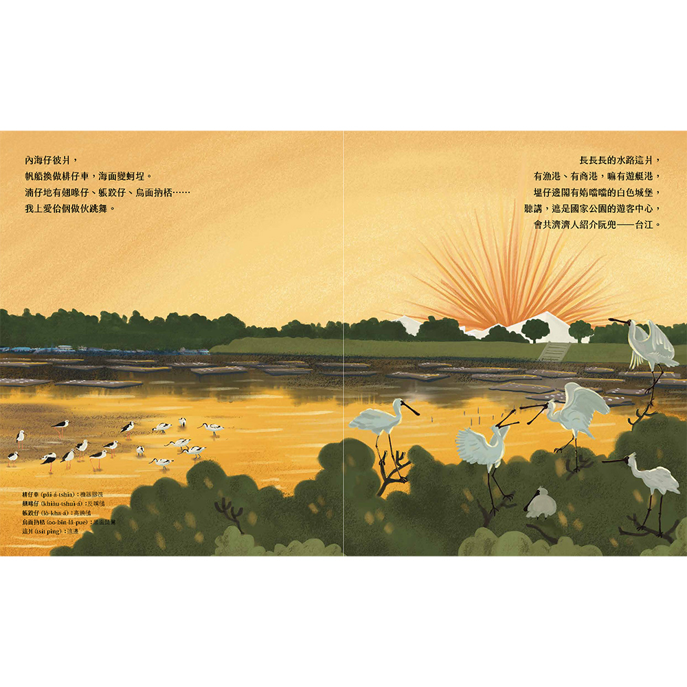 阮兜蹛台江:鳥鼠仔草的時光旅行:圖片 2